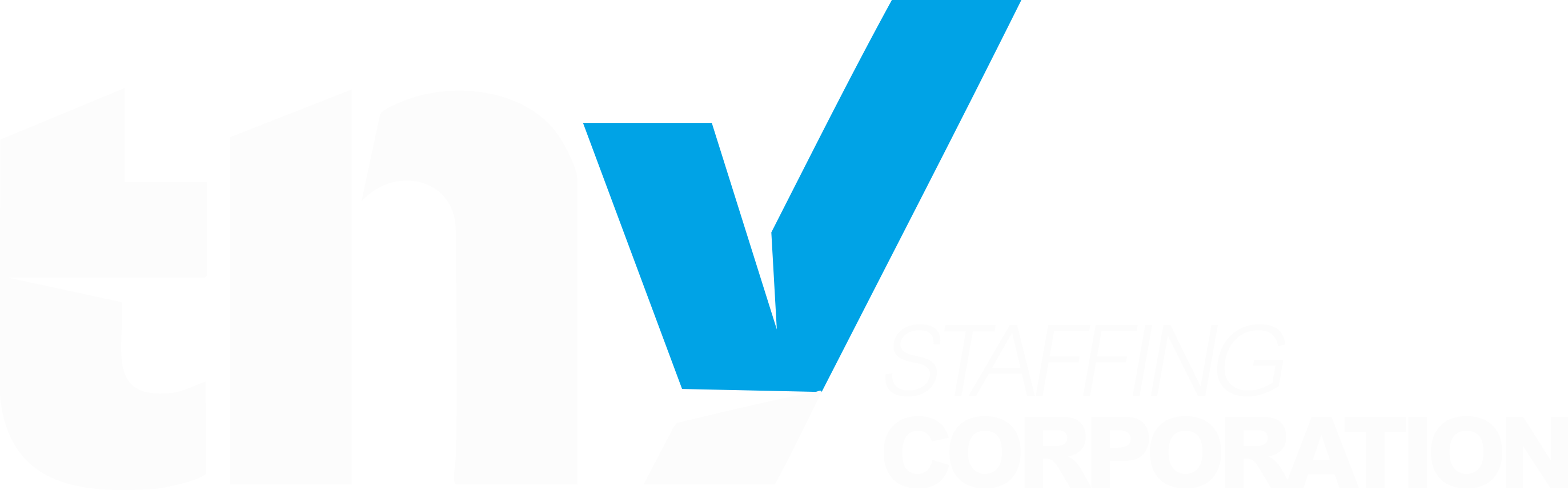 tnystaffing.net